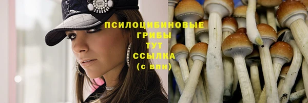 хмурый Протвино