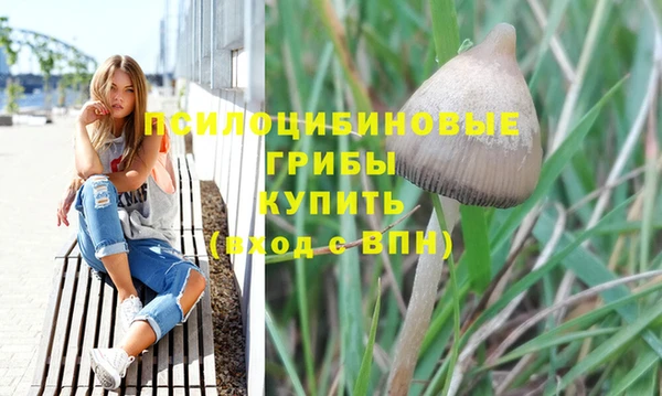 дмт Приозерск