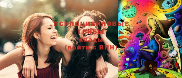 мяу мяу мука Нестеровская