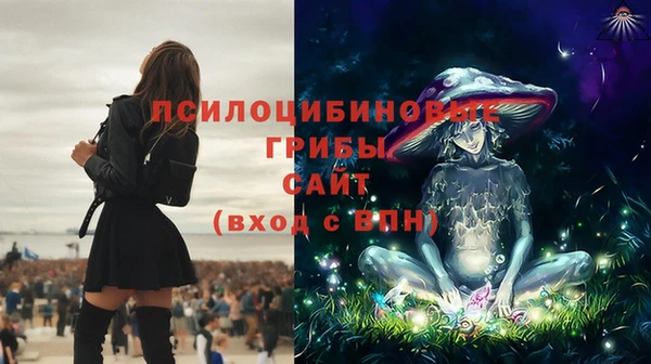 мяу мяу мука Нестеровская