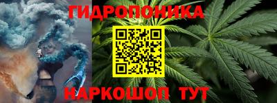 spice Кингисепп