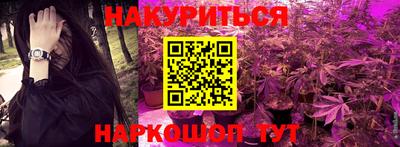 spice Кингисепп