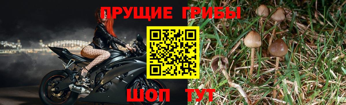 Псилоцибиновые грибы Magic Shrooms Аксай